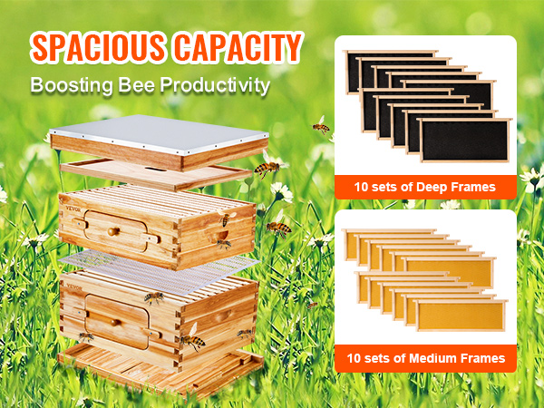 VEVOR bee hive starter kit with 10 sets of deep frames and 10 sets of medium frames boosting bee productivity.
