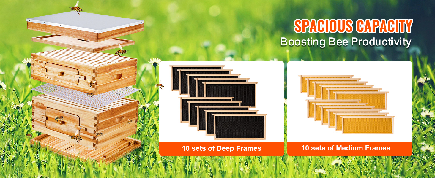 VEVOR bee hive starter kit with 10 sets of deep frames and 10 sets of medium frames boosting bee productivity.