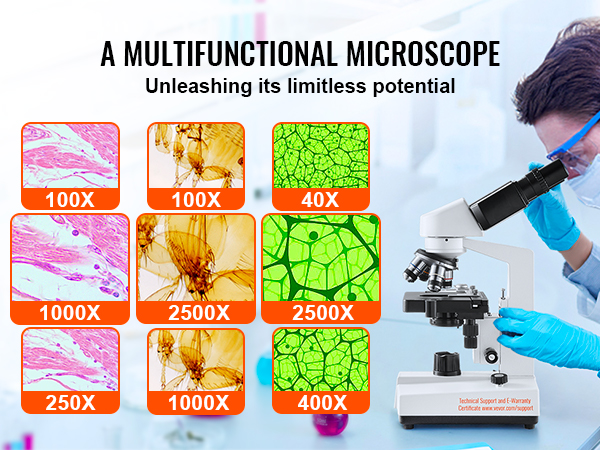 VEVOR Binocular Compound Microscope, 40X-2500X Magnification, Binocular ...